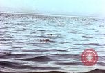 Image of Australian survivors of Rakuyo Maru Philippines, 1944, second 49 stock footage video 65675028206