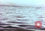 Image of Australian survivors of Rakuyo Maru Philippines, 1944, second 50 stock footage video 65675028206