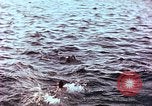 Image of Australian survivors of Rakuyo Maru Philippines, 1944, second 51 stock footage video 65675028206