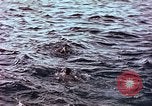 Image of Australian survivors of Rakuyo Maru Philippines, 1944, second 53 stock footage video 65675028206