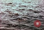 Image of Australian survivors of Rakuyo Maru Philippines, 1944, second 55 stock footage video 65675028206