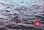 Image of Australian survivors of Rakuyo Maru Philippines, 1944, second 56 stock footage video 65675028206