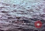 Image of Australian survivors of Rakuyo Maru Philippines, 1944, second 57 stock footage video 65675028206