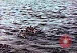 Image of Australian survivors of Rakuyo Maru Philippines, 1944, second 59 stock footage video 65675028206