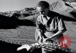 Image of Georgia O'Keeffe New Mexico United States USA, 1948, second 30 stock footage video 65675028209