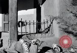 Image of Georgia O'Keeffe New Mexico United States USA, 1948, second 48 stock footage video 65675028209