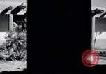 Image of Georgia O'Keeffe New Mexico United States USA, 1948, second 57 stock footage video 65675028209