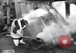 Image of Native American Indian Navaho artists New Mexico United States USA, 1948, second 61 stock footage video 65675028210