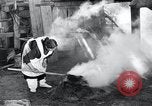 Image of Native American Indian Navaho artists New Mexico United States USA, 1948, second 62 stock footage video 65675028210