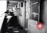 Standbild chinesische Boot Bewohner Hong Kong, 1962, aus Sekunde 46 historischem Filmmaterial Videoclip 65675028225