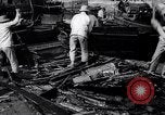 Standbild chinesische Boot Bewohner Hong Kong, 1962, aus Sekunde 55 historischem Filmmaterial Videoclip 65675028225