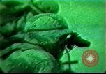 Standbild Nacht Bekämpfung Irak, 1991, aus Sekunde 38 historischem Filmmaterial Videoclip 65675028324