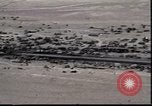 Standbild Highway des Todes Kuwait, 1991, aus Sekunde 1 historischem Filmmaterial Videoclip 65675028326