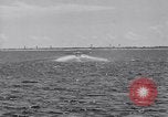 Image US Navy élève pilote effectue le premier vol en solo dans N3N seaplane Pensacola Florida USA, 1938, de la seconde 41 séquences d'archives historiques vidéo 65675028329