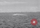 Image US Navy élève pilote effectue le premier vol en solo dans N3N seaplane Pensacola Florida USA, 1938, de la seconde 43 séquences d'archives historiques vidéo 65675028329