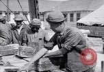 Image of American aviator training World War 1 United States USA, 1917, second 19 stock footage video 65675028338
