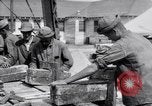 Image of American aviator training World War 1 United States USA, 1917, second 20 stock footage video 65675028338