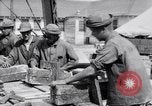 Image of American aviator training World War 1 United States USA, 1917, second 21 stock footage video 65675028338