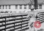 Image of American aviator training World War 1 United States USA, 1917, second 45 stock footage video 65675028338