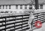 Image of American aviator training World War 1 United States USA, 1917, second 46 stock footage video 65675028338