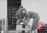 Image of American aviator training World War 1 United States USA, 1917, second 48 stock footage video 65675028338