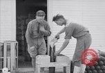 Image of American aviator training World War 1 United States USA, 1917, second 49 stock footage video 65675028338
