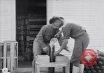 Image of American aviator training World War 1 United States USA, 1917, second 51 stock footage video 65675028338