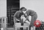 Image of American aviator training World War 1 United States USA, 1917, second 52 stock footage video 65675028338