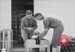 Image of American aviator training World War 1 United States USA, 1917, second 53 stock footage video 65675028338