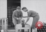 Image of American aviator training World War 1 United States USA, 1917, second 55 stock footage video 65675028338