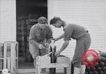 Image of American aviator training World War 1 United States USA, 1917, second 56 stock footage video 65675028338