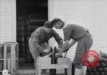 Image of American aviator training World War 1 United States USA, 1917, second 57 stock footage video 65675028338