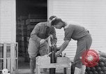 Image of American aviator training World War 1 United States USA, 1917, second 59 stock footage video 65675028338