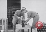 Image of American aviator training World War 1 United States USA, 1917, second 60 stock footage video 65675028338