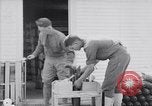 Image of American aviator training World War 1 United States USA, 1917, second 61 stock footage video 65675028338