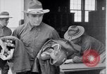 Image of US Army aviator training in simulators World War 1 United States USA, 1917, second 46 stock footage video 65675028340