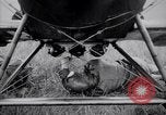 Image of World War 1 bombing training for US Army aviators United States USA, 1917, second 37 stock footage video 65675028343