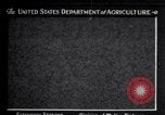 Image spongieuse et d'autres ravageurs United States USA, 1928, de la seconde 1 séquences d'archives historiques vidéo 65675028360