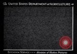 Image spongieuse et d'autres ravageurs United States USA, 1928, de la seconde 3 séquences d'archives historiques vidéo 65675028360