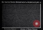 Image spongieuse et d'autres ravageurs United States USA, 1928, de la seconde 7 séquences d'archives historiques vidéo 65675028360