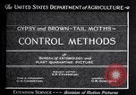 Image spongieuse et d'autres ravageurs United States USA, 1928, de la seconde 10 séquences d'archives historiques vidéo 65675028360