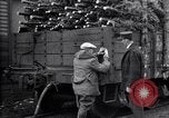 Image inspection pour la spongieuse United States USA, 1928, de la seconde 55 séquences d'archives historiques vidéo 65675028361
