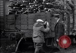 Image inspection pour la spongieuse United States USA, 1928, de la seconde 56 séquences d'archives historiques vidéo 65675028361