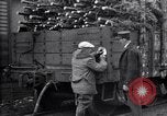 Image inspection pour la spongieuse United States USA, 1928, de la seconde 57 séquences d'archives historiques vidéo 65675028361