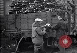 Image inspection pour la spongieuse United States USA, 1928, de la seconde 58 séquences d'archives historiques vidéo 65675028361
