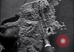 Image d'insectes United States USA, 1928, de la seconde 12 séquences d'archives historiques vidéo 65675028362