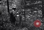 Standbild Insekten United States USA, 1928, aus Sekunde 6 historischem Filmmaterial Videoclip 65675028363