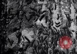 Standbild Insekten United States USA, 1928, aus Sekunde 18 historischem Filmmaterial Videoclip 65675028363