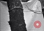 Standbild Insekten United States USA, 1928, aus Sekunde 20 historischem Filmmaterial Videoclip 65675028363