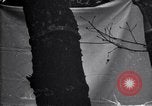 Standbild Insekten United States USA, 1928, aus Sekunde 23 historischem Filmmaterial Videoclip 65675028363
